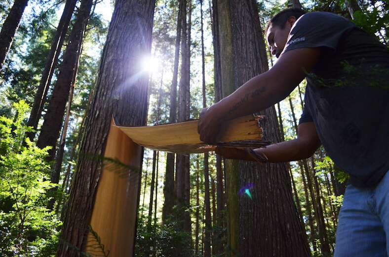 Clayoquot Biosphere Trust Marcie Callewaert Biosphere Centre Vision