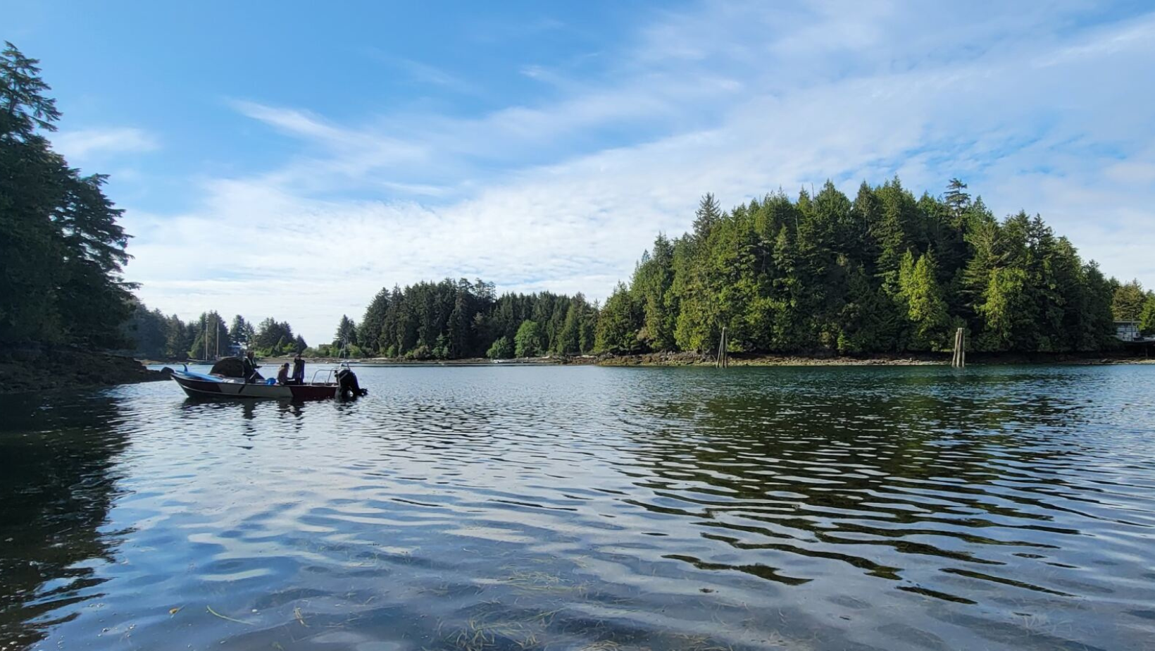 Ucluelet Aquarium Research and Environment Grant 2025 Clayoquot Biosphere Trust