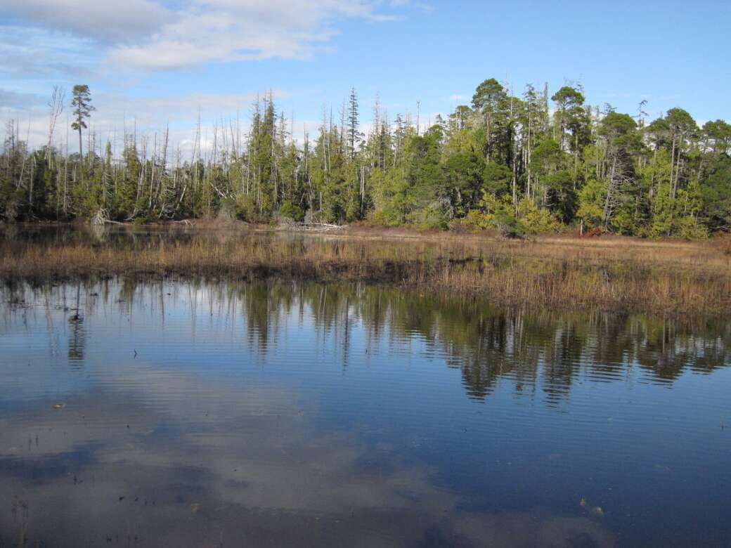 Shallow-water-wetland-Woods-Lake-ACRD
