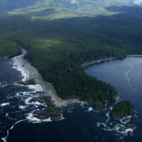 Clayoquot Biosphere Trust Board of Directors