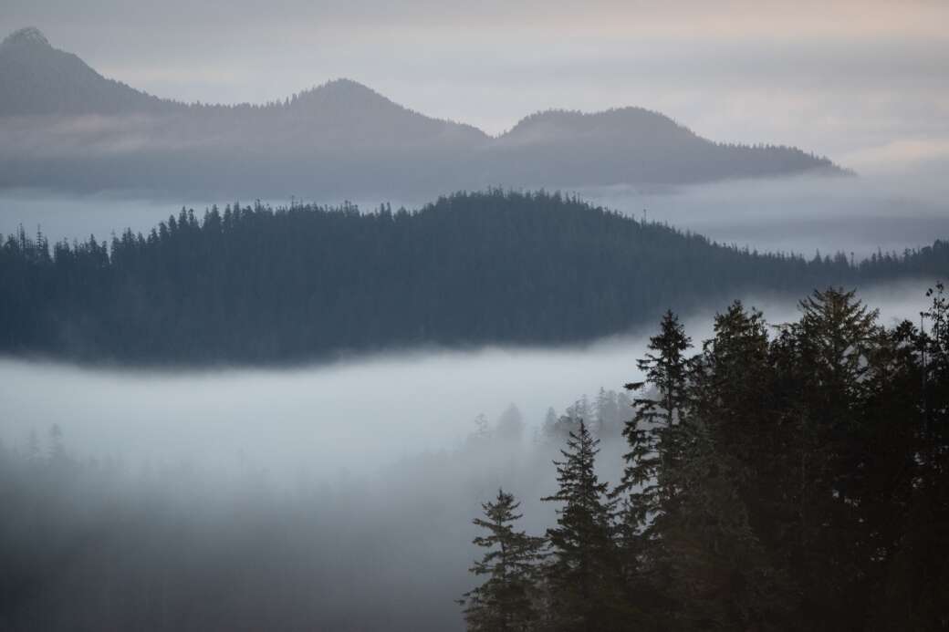 Clayoquot Biosphere Trust Community Resilience Fund Marcie Callewaert