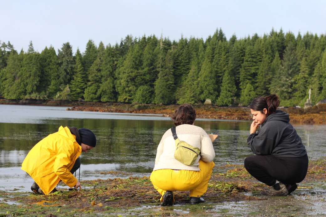 Ruby Novogrodsky Research & Environment Grant Clayoquot Biosphere Trust