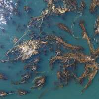 Biosphere Research Awards Clayoquot Biosphere Trust