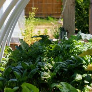 Eat West Coast Clayoquot Biosphere Trust