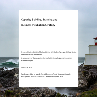 Capacity Building, Training & Business Incubation Strategy