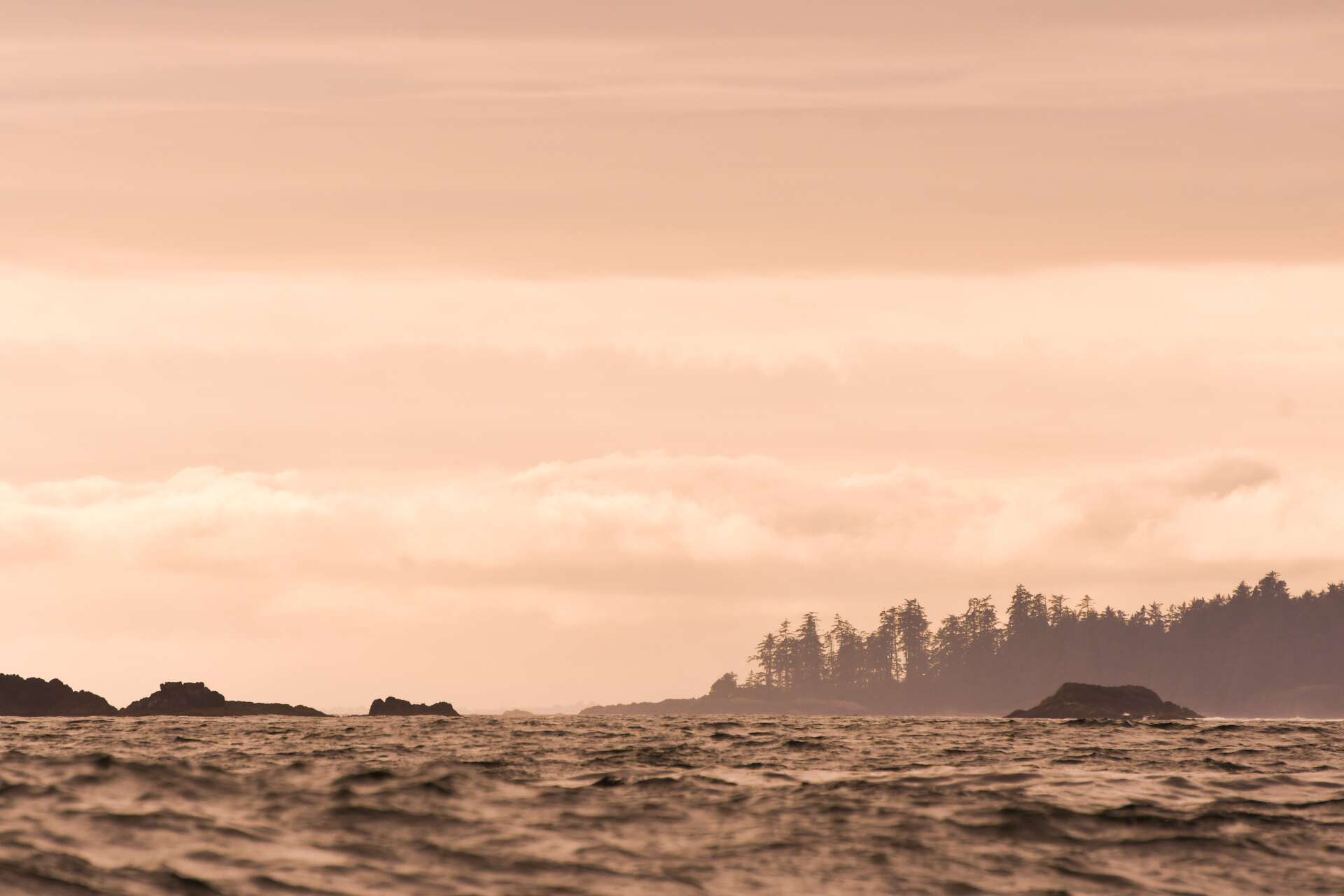 Clayoquot Biosphere Trust Marcie Callewaert