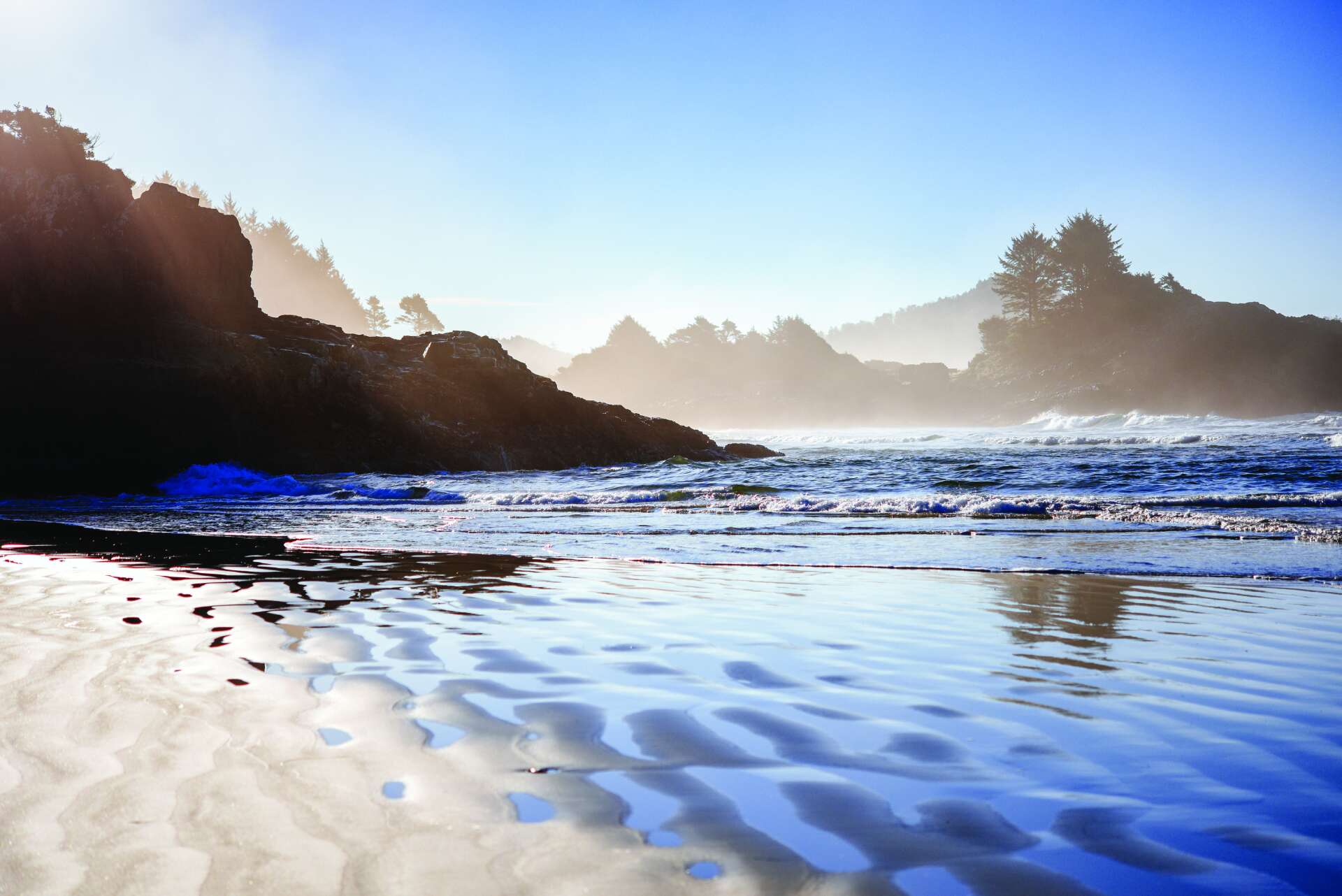 West Coast NEST Clayoquot Biosphere Trust