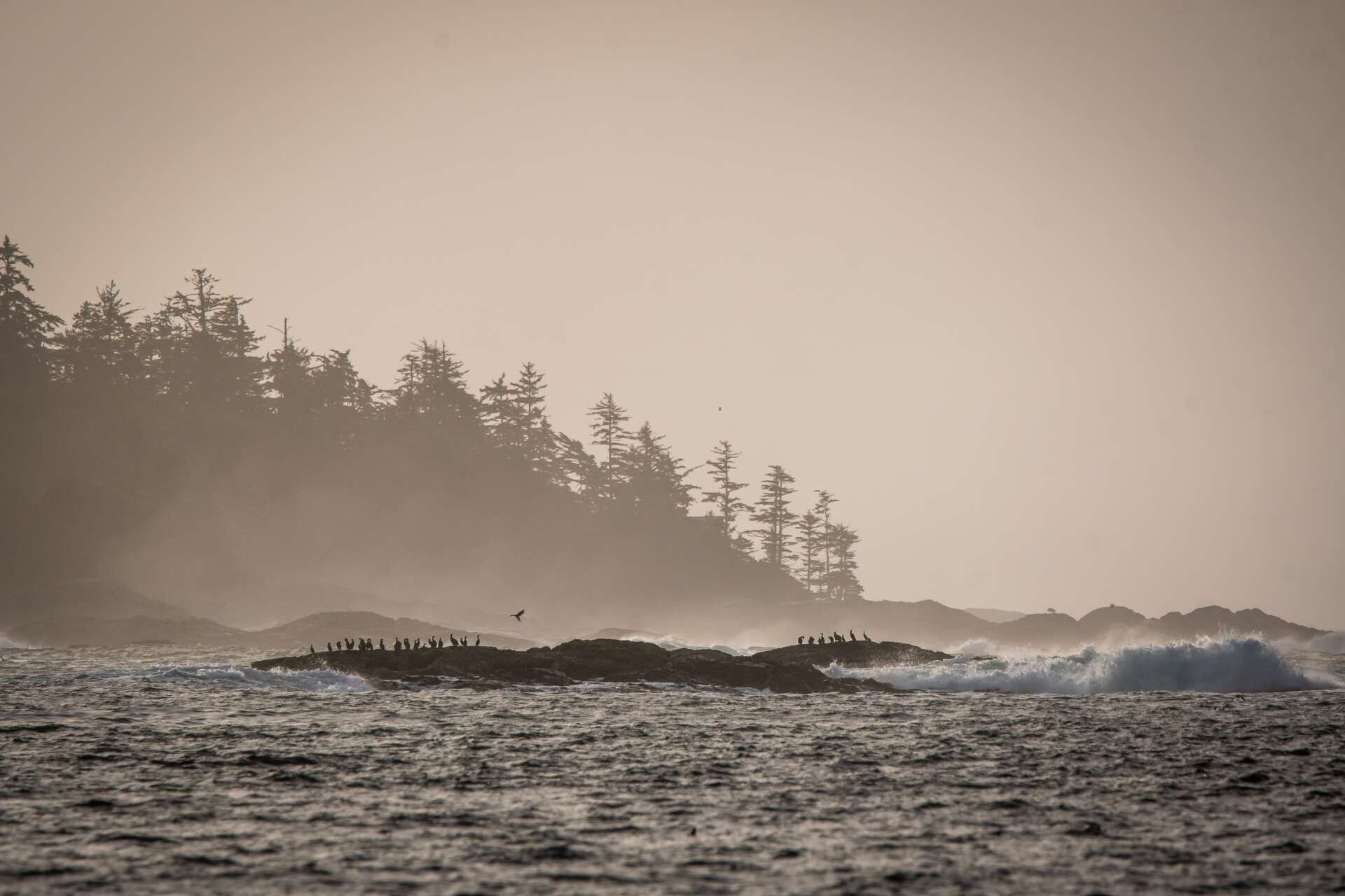 Clayoquot Sound Biosphere Region Clayoquot Biosphere Trust Marcie Callewaert