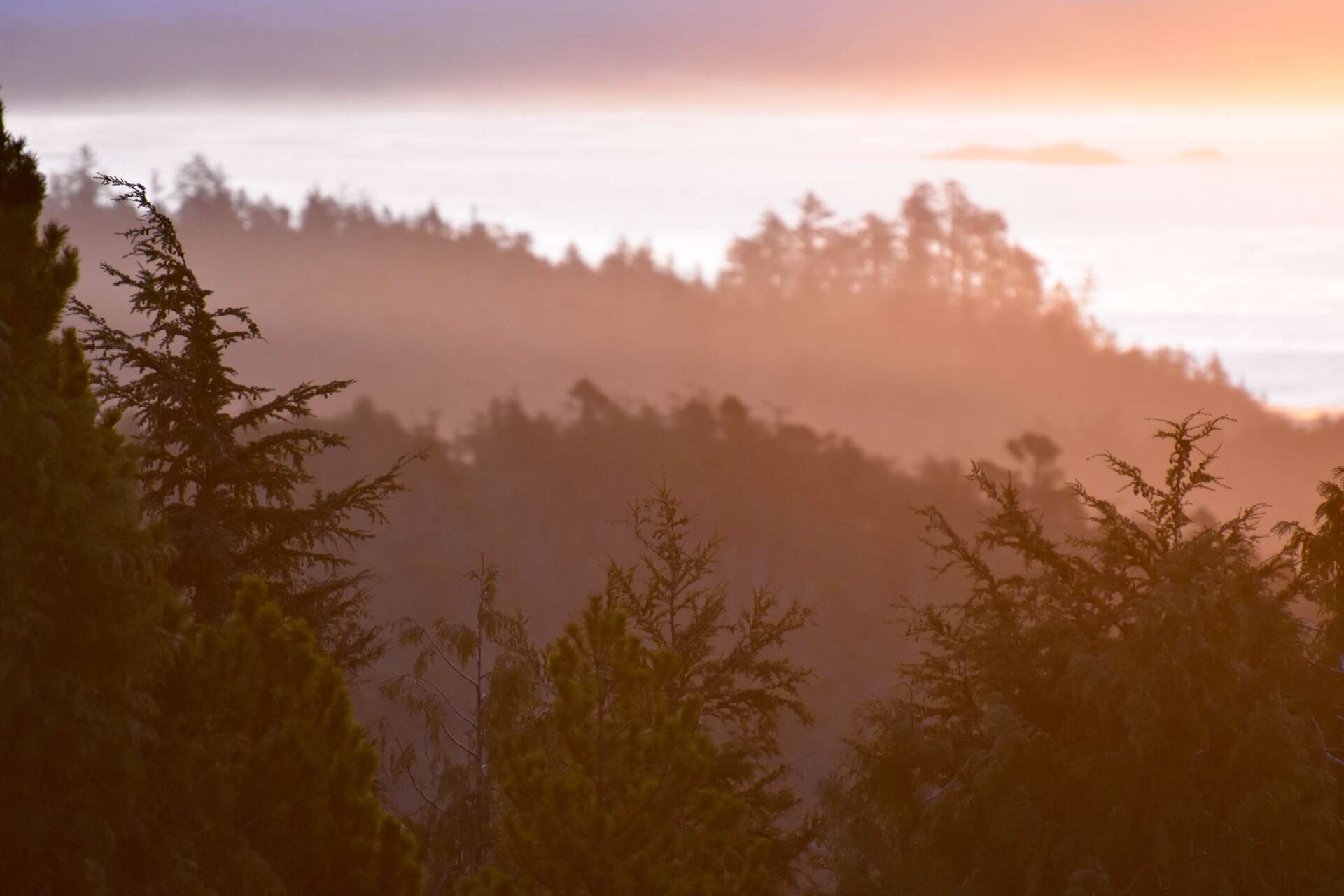 Clayoquot Sound Biosphere Region Marcie Callewaert